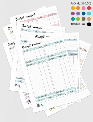 Budget à imprimer bm001-budget-mensuel-artistique-multicolore
