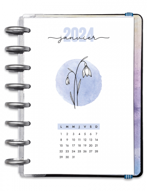 12 pages mensuelles 2024 doodle fleur sur aquarelle